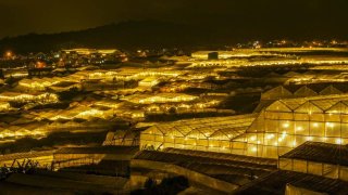 Ngắm nhìn Thành Phố Đà Lạt về đêm rực rỡ, hoa lệ từ trên cao