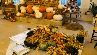 Halloween Đà Lạt 2022 vui chơi ở đâu? 5 địa chỉ nhất định phải ghé để sống ảo dịp lễ hội hóa trang!