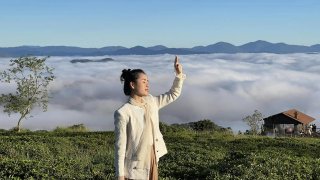 Cầu Gỗ Săn Mây Đà Lạt | Thiên đường săn mây đẹp vô địch tại Đà Lạt