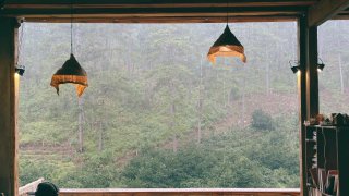 Thời tiết Đà Lạt tháng 2/2023 nắng đẹp, không đi cafe chill thì quá phí