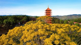 Du lịch Đà Lạt tháng 2 năm 2023 có gì mới?