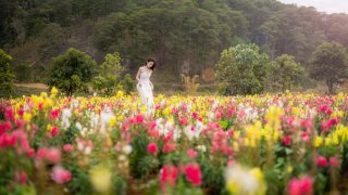 Những thung lũng hoa Tà Nung đẹp như cổ tích, lại tiện đường tham quan