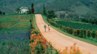 Những con đường đẹp ở Đà Lạt đã đến là không muốn về