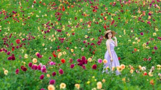 Du lịch Đà Lạt tháng 9 từ A đến Z: thời tiết, trang phục, địa điểm...