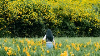 Du lịch Đà Lạt cuối tháng 9 có gì đẹp?