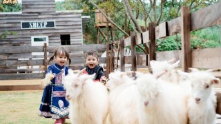 Dapa Hill Đà Lạt có thật sự thú vị như quảng cáo?