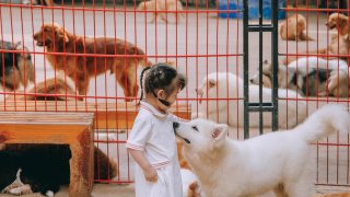 9 nông trại ở Đà Lạt cho bé trải nghiệm cuộc sống nông thôn