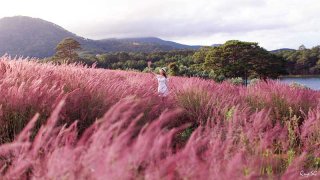 Kinh nghiệm du lịch Đà Lạt mùa đông - Chuẩn bị những gì, ăn chơi ở đâu?