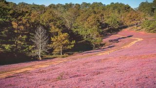 Đà Lạt mùa này có gì? Đi đâu chơi thích nhất?