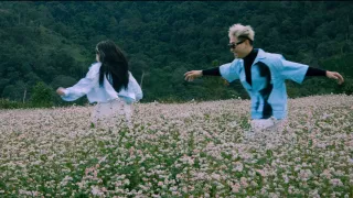 Địa điểm ngắm hoa tam giác mạch Đà Lạt 2024 mới nhất