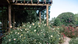 Khu du lịch Rose Garden Đà Lạt ở đâu?