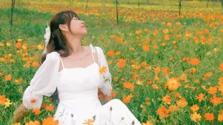 Dự báo thời tiết Đà Lạt Tết 2024: cả tuần nắng đẹp, thoải mái vi vu!