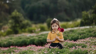 Thời tiết Đà Lạt tháng 2/2024 càng về cuối tháng càng đẹp!