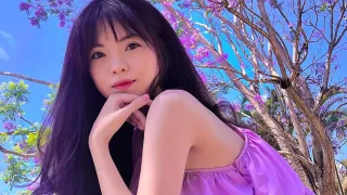 Phượng tím Đà Lạt 2024 nở rộ và địa điểm săn hoa hot nhất lúc này!