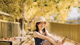 Mùa hoa bơ Đà Lạt nở tháng mấy? Cần lưu ý những gì?