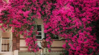 7 giàn hoa giấy Đà Lạt siêu khủng đốn tim mọi du khách