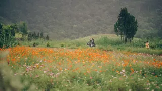 Đà Lạt tháng 4 có hoa gì? Hợp với trang phục màu gì?