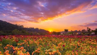 Kinh nghiệm du lịch Đà Lạt tháng 4 & những lưu ý về thời tiết