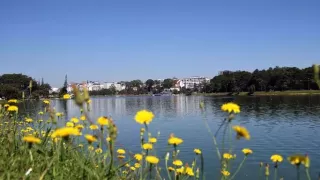 Đà Lạt tháng 5 có hoa gì? Thời tiết mùa này ra sao?