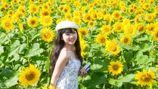 Tháng 6 Đà Lạt có hoa gì? Đến vườn hoa giờ nào đẹp nhất?