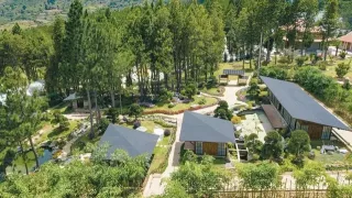 Khu du lịch Rừng Thông Núi Voi có gì hấp dẫn?