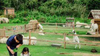 Đà Lạt lễ 2/9 có đông không? Nên đi đâu chơi?