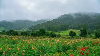 Thời tiết Đà Lạt tháng 8/2024: trời nhiều mây nhưng ít mưa