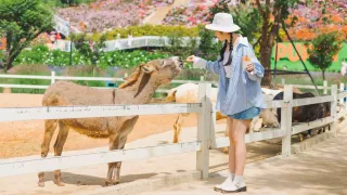 Nông trại cún Đà Lạt Puppy Farm | Điểm đến hấp dẫn cho cả gia đình