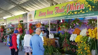 Festival Hoa Đà Lạt 2024: Tất tần tật về Sự kiện, Địa điểm, Thời gian