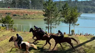 Giải đua ngựa không yên lần đầu xuất hiện tại Festival Hoa Đà Lạt