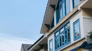 Khách sạn Kỳ Hòa Đà Lạt: Trọn vẹn kỳ nghỉ giữa thiên nhiên