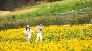 The Florest - Hoa Trong Rừng điều chỉnh giá dịch vụ, nâng cao trải nghiệm mới cho du khách