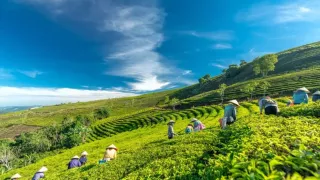 Xuân Trường - “Điểm nhấn” du lịch, xã anh hùng, cái nôi cách mạng của Đà Lạt