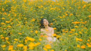 Rực rỡ mùa hoa cánh bướm Đà Lạt tháng 4!