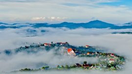 Biển mây Đà Lạt vào sáng sớm