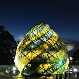 Búp Atiso huyền ảo vào buổi..