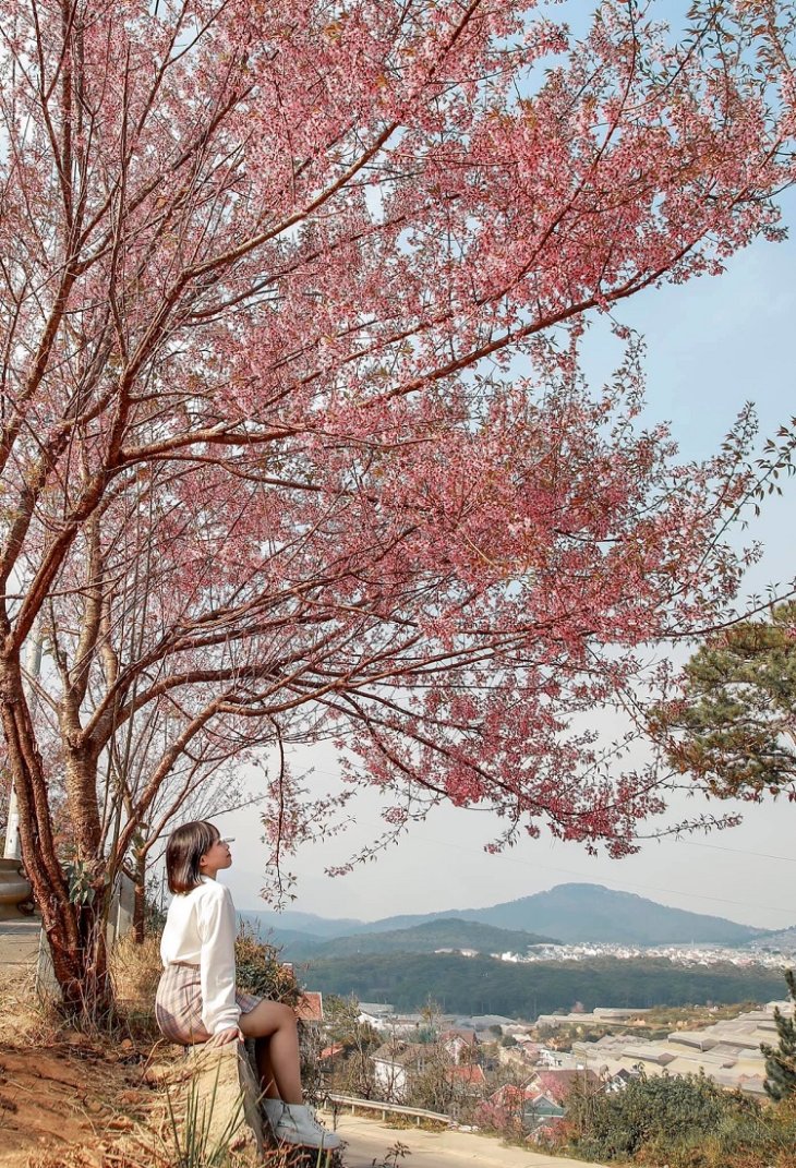 Duong Mai Anh Dao Da Lat 1