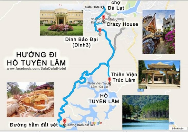 Rung Mai Anh Dao Ho Tuyen Lam 2