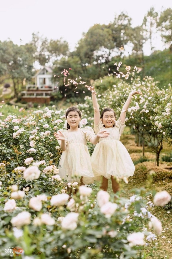 Khu Du Lich Cao Nguyen Hoa Da Lat 10