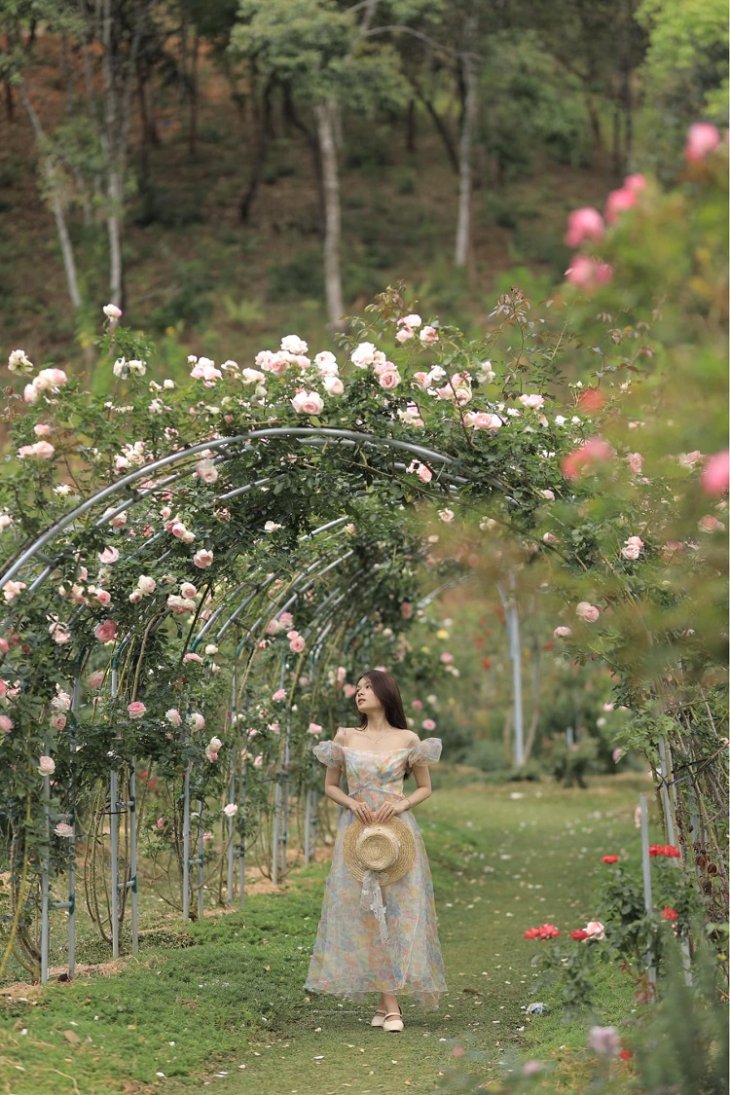 Khu Du Lich Cao Nguyen Hoa Da Lat 11