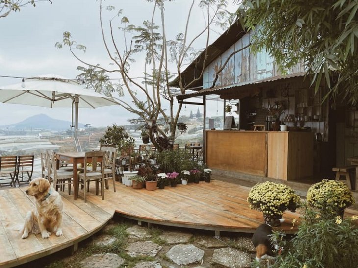 Ca Phe Ngam Binh Minh Da Lat Hai A Cafe 1