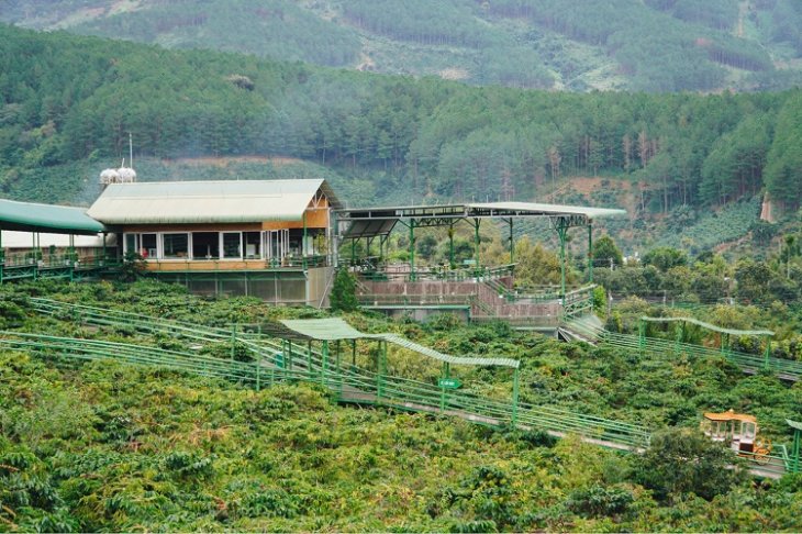 Ca Phe Ngam Binh Minh Da Lat Me Linh Coffee Garden