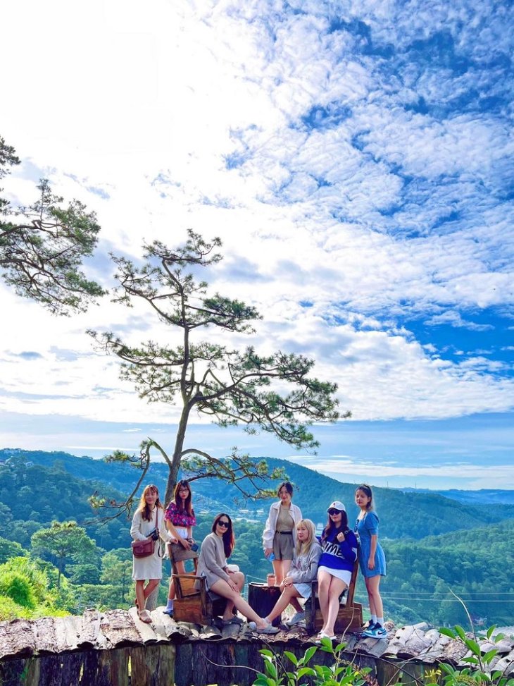 Ca Phe Ngam Binh Minh Da Lat Tiem Ca Phe To Chim 1