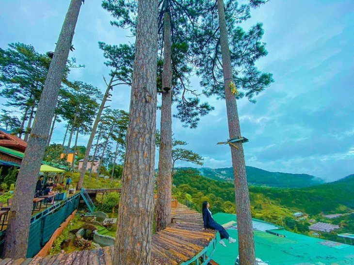 Ca Phe Ngam Binh Minh Da Lat Tiem Ca Phe To Chim 2