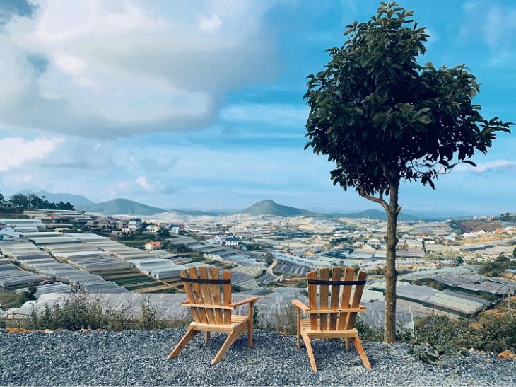 Ca Phe Ngam Binh Minh Da Lat Tui Mo To 1