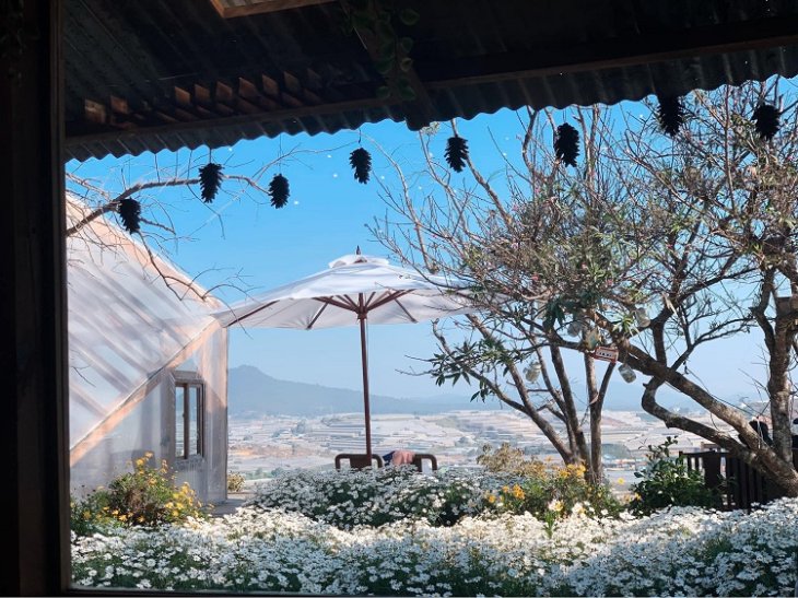 Ca Phe Ngam Binh Minh Da Lat Tui Mo To 2