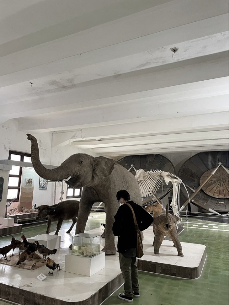 Phan Vien Sinh Hoc Da Lat 5