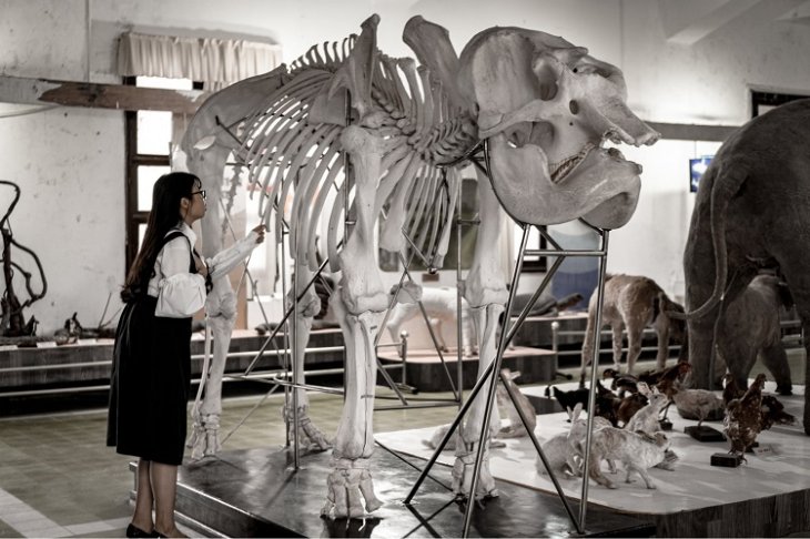 Phan Vien Sinh Hoc Da Lat 7