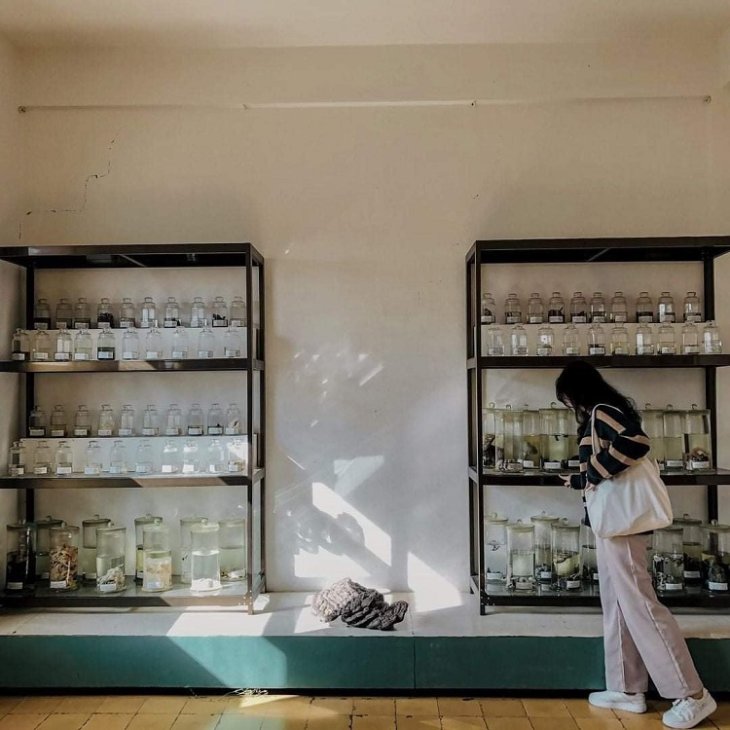 Phan Vien Sinh Hoc Da Lat 8