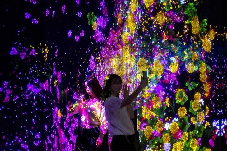 Tham Quan Vuon Anh Sang Da Lat